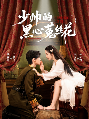 少帅的黑心菟丝花（60集）让你一口气看完