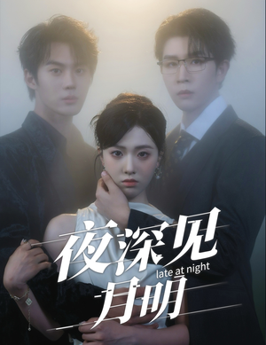 夜深见月明（50集）热播短剧追不停