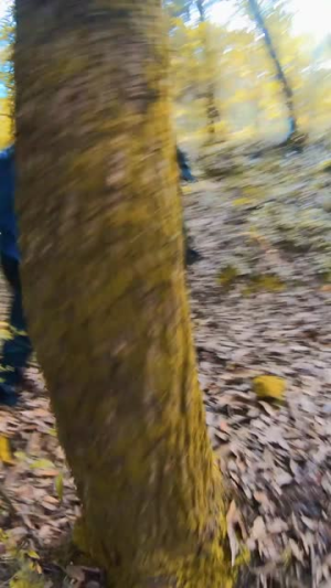 消失的她与我那些事儿&孤岛爱之狂野迷踪（46集）精彩短剧热播