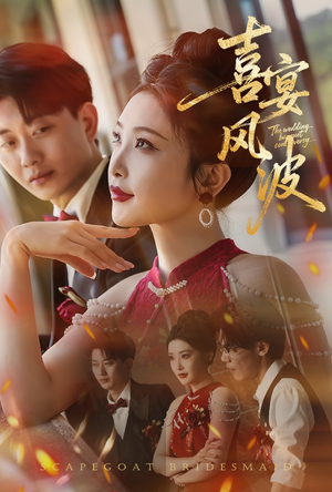 喜宴风波&替罪伴娘（30集）看到了大结局