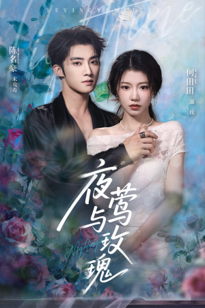 夜莺与玫瑰（66集）短剧在哪里看