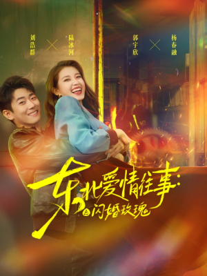 东北爱情往事闪婚玫瑰（89集）免费看