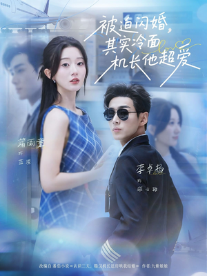 被迫闪婚其实冷面机长他超爱（77集）精彩连连免费看