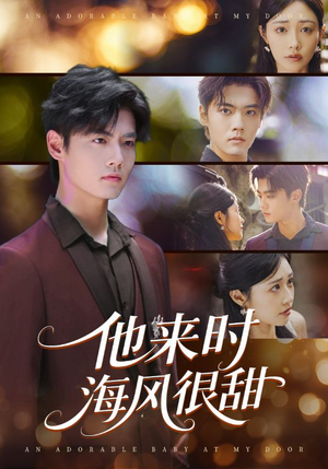 他来时海风很甜（60集）热播短剧全集看