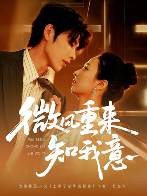 微风重来知我意（62集）热播短剧排行榜