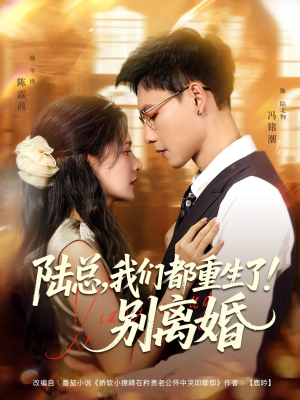 陆总我们都重生了别离婚（79集）爆款短剧抢先看
