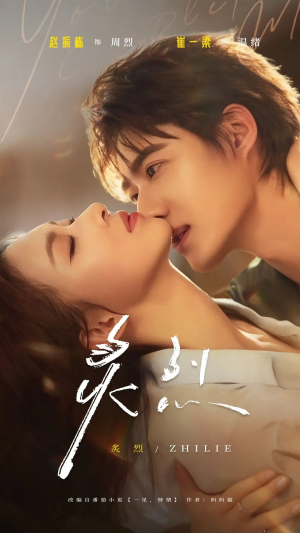 炙烈（73集）高清画质免费看