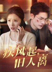 疾风起旧人离（32集）番茄短剧免费看
