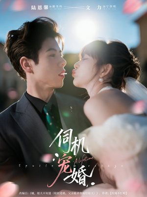 伺机宠婚（80集）短剧有好货推荐