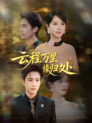 云程万里缘归处（95集）热门短剧抢先