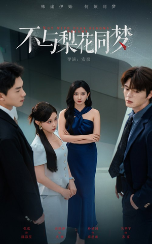 不与梨花同梦（50集）最新热剧免费看