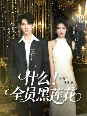 什么全员黑莲花（60集）在线播放