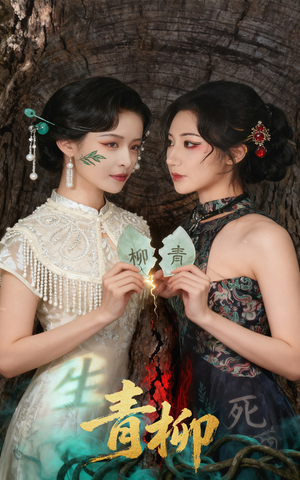 青柳（79集）热门短剧分享