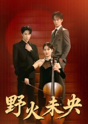 野火未央（40集）全集