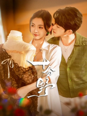 摘星予南风（73集）热门短剧大全