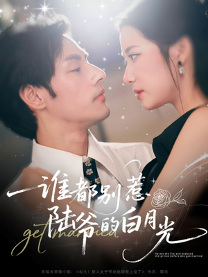谁都别惹陆爷的白月光（79集）百度网盘在线看