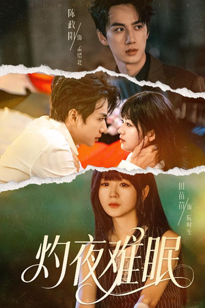 灼夜难眠（60集）百度网盘资源