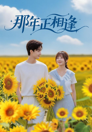 那年正相逢（60集）第一季