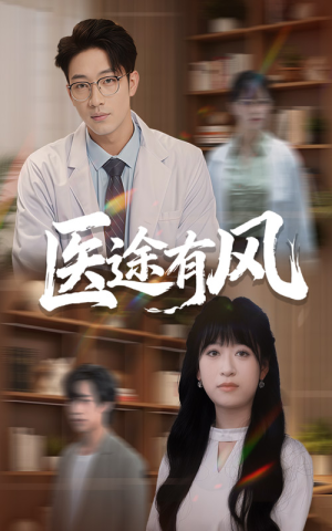 医途有风（52集）精彩短剧下载