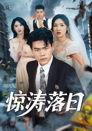 惊涛落日（60集）在线看免费版