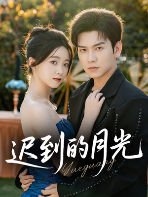 迟到的月光（80集）在线观看全集