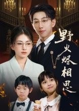 野火烬相思（61集）经典老剧免费看