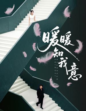 暖暖知我意（61集）免费短剧全集看