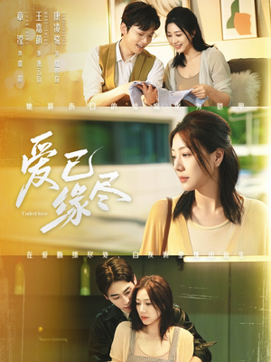 爱已缘尽（62集）去哪里看