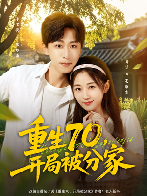 重生70开局被分家（79集）直接追到结尾