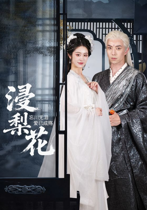 浸梨花（50集）百度网盘资源
