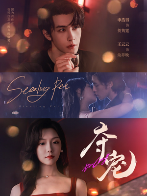 夺宠（88集）精彩短剧看不停