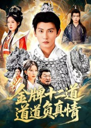 金牌十二道道道负真情（70集）免费观看就是爽