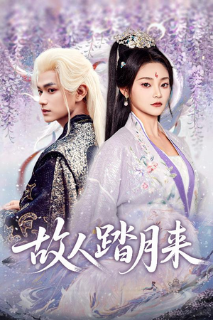 故人踏月来（60集）高分佳作免费看