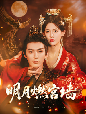 明月燃宫墙（60集）热门了短剧