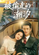 被偷走的潮汐（60集）让你一口气看完
