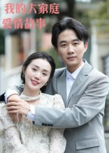 我的大家庭爱情故事（15集）男主角是谁