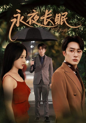 永夜长眠（70集）追短剧看全集