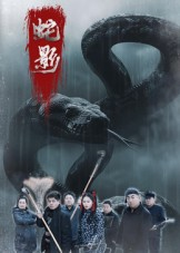 蛇影（25集）解说