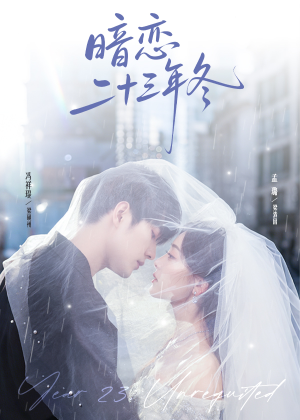 暗恋二十三年冬（60集）在线看完整版