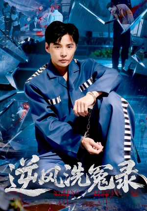 逆风洗冤录（42集）精彩短剧下载