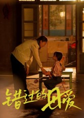 错过的母爱（32集）精彩不断免费看