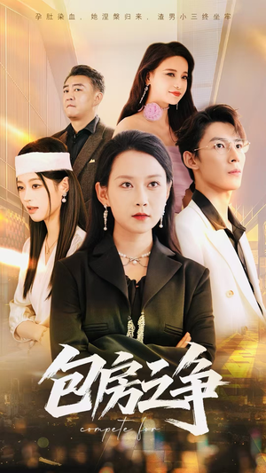 包房之争（50集）精彩短剧天天看