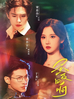 昼夜回响（76集）精彩短剧抢先看