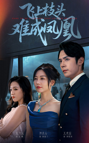 飞上枝头难成凤凰（47集）短剧每日分享