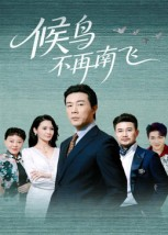 候鸟不再南飞（80集）免费短剧就是爽