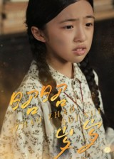 昭昭岁岁（30集）经典回顾免费看