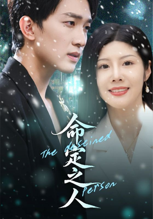 命定之人（56集）全季一次看完