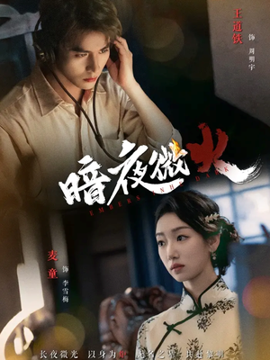 暗夜微火（80集温柔追捕短剧