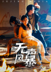 无声风暴（33集）在线看