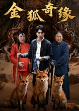 金狐奇缘（42集）80到100集